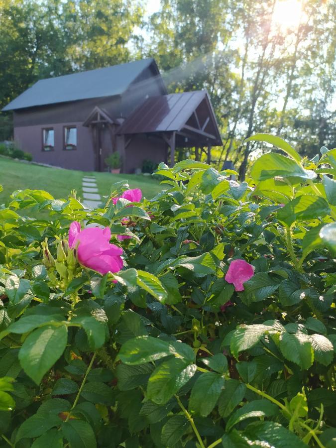 Hotel U Tomicku Paseky nad Jizerou Zewnętrze zdjęcie