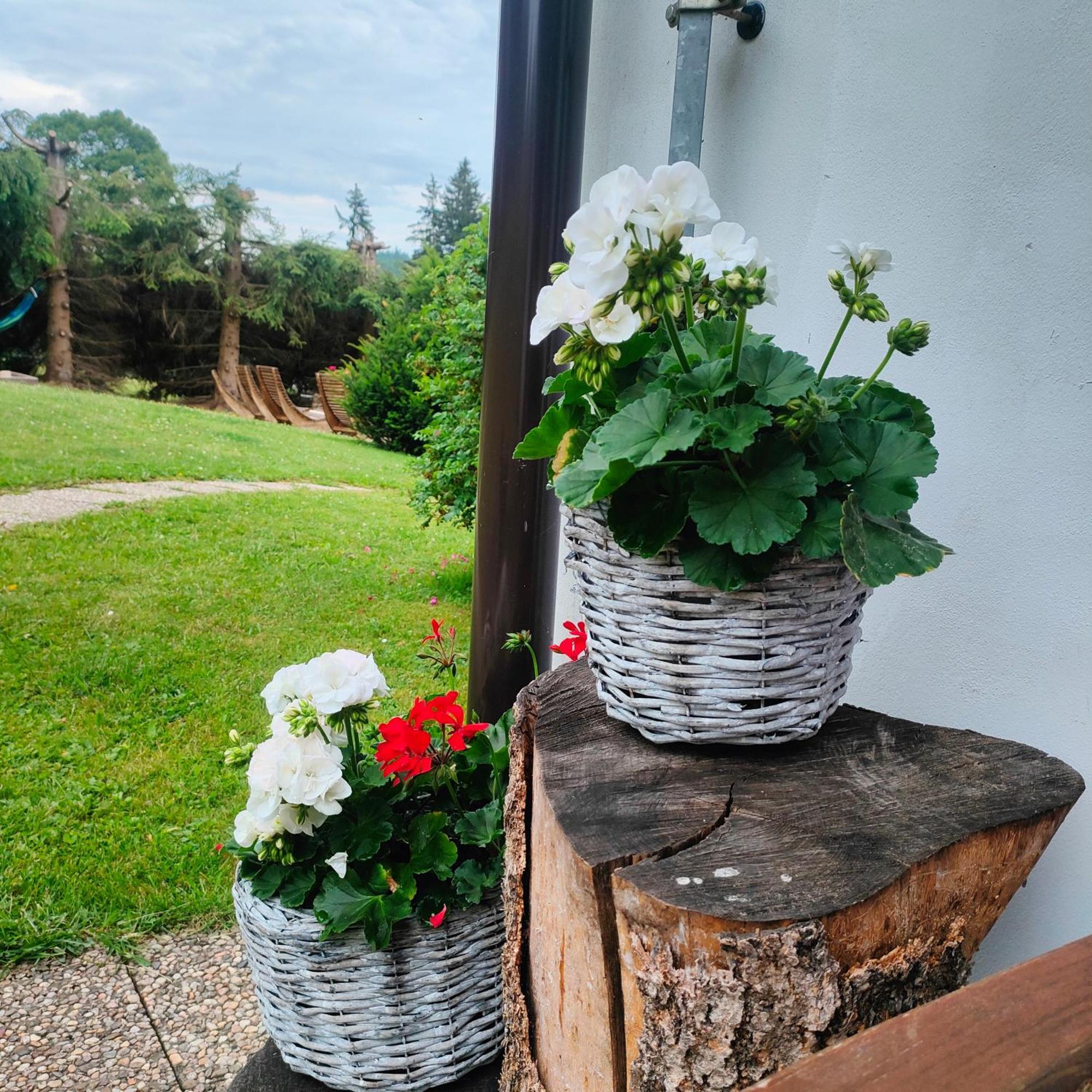 Hotel U Tomicku Paseky nad Jizerou Zewnętrze zdjęcie